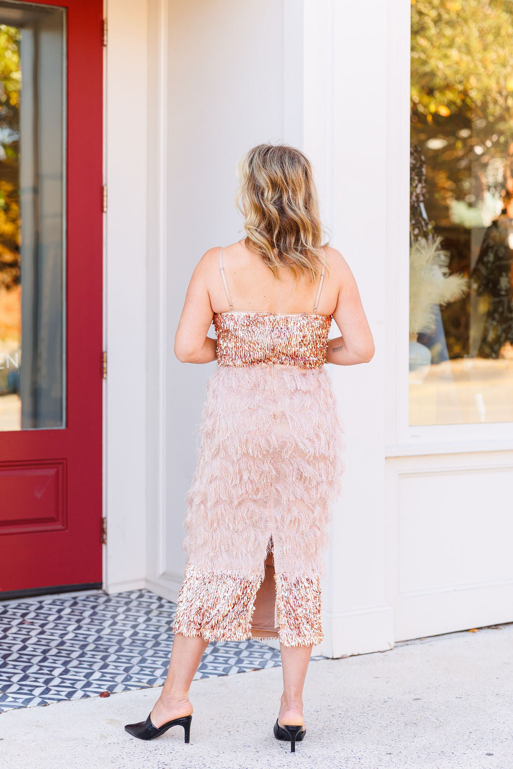 Champagne Dreams Sequin Fringe Dress – Laundry Dae