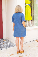 The Camden Denim Dress Entro