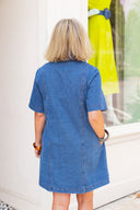The Camden Denim Dress Entro