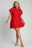 Radiant Red Lace Mini Dress - Plus Size