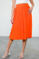 Cheerful Pleats Skirt