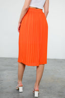 Cheerful Pleats Skirt