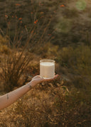 Desert Blossoms Candle (9 oz) Cicada