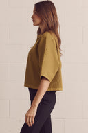 Harvest Collared Sweater Entro